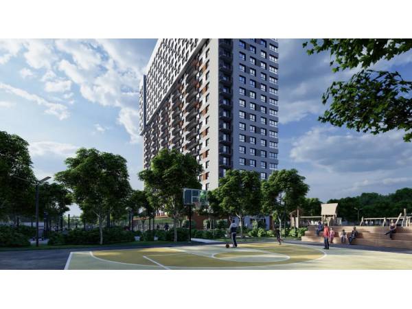 �� ����� ����