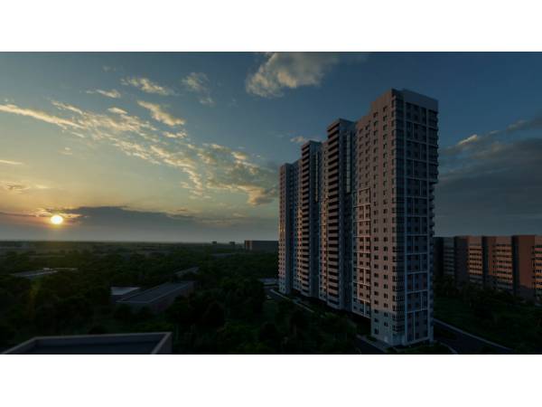 �� ����� ����