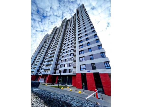 �� ����� ����